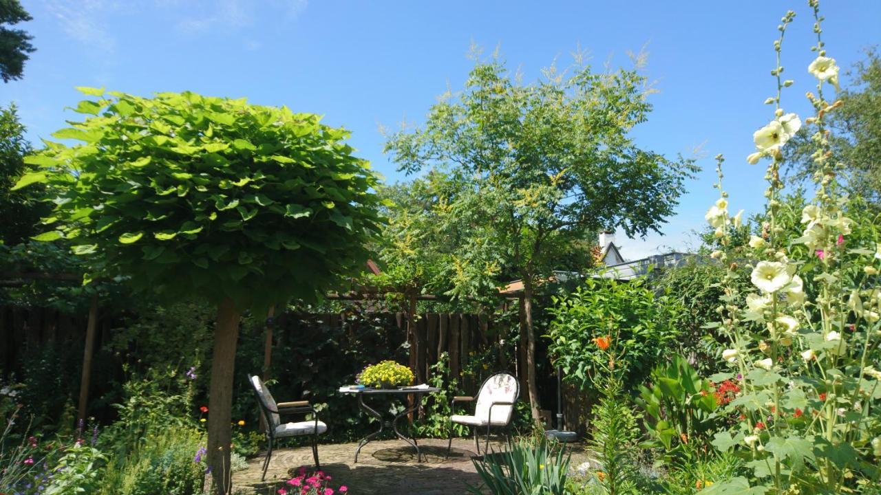 Overbosch Bilthoven Ngoại thất bức ảnh