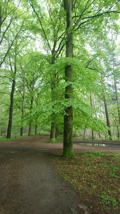 Overbosch Bilthoven Ngoại thất bức ảnh